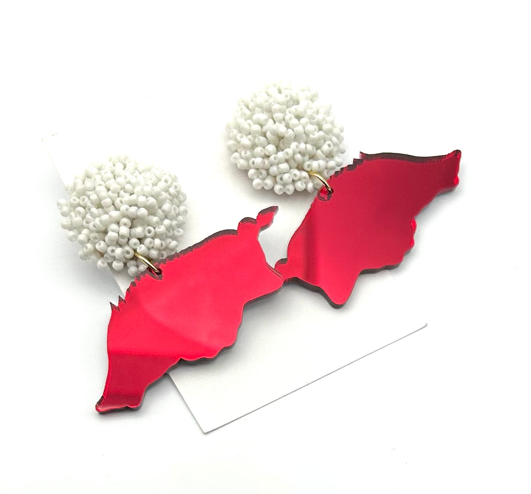 AR Arkansas Mirror Razorback Earrings